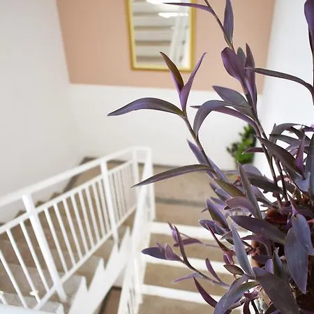 Apartment Sneshka Ohrid Buitenkant foto