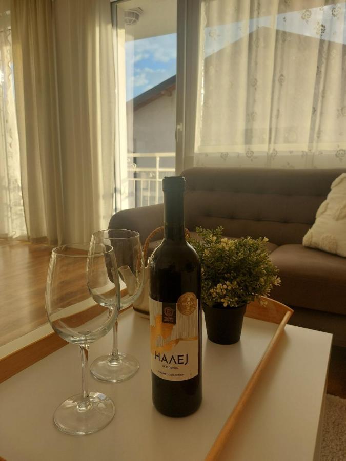 Sneshka Apartment